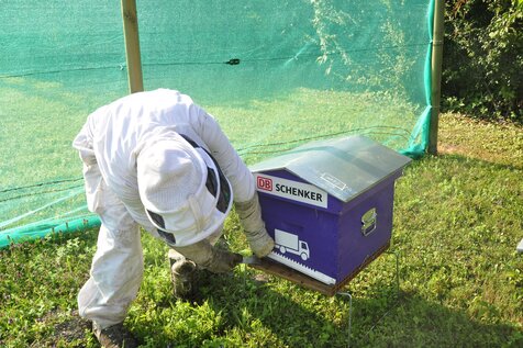 Bienenkasten in Frankreich. | © DB Schenker