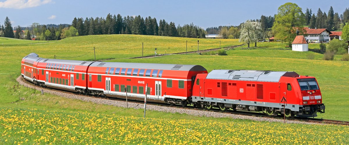 Ein Zug der Deutschen Bahn fährt durch eine blühende Landschaft. | © DB AG / Uwe Miethe