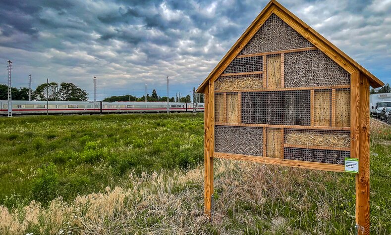 Ein Insektenhotel steht vor einen Regenwasserversickerungsfläche mit Wildblumen. 