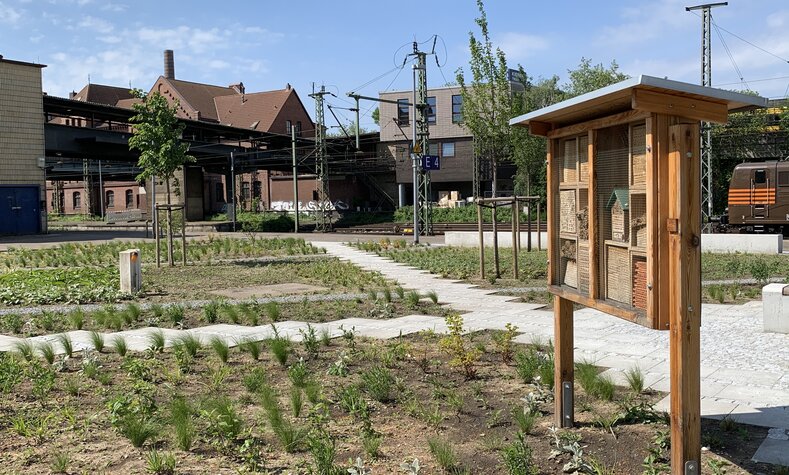 An insect hotel is also part of the greening of Hamburg-Harburg station.