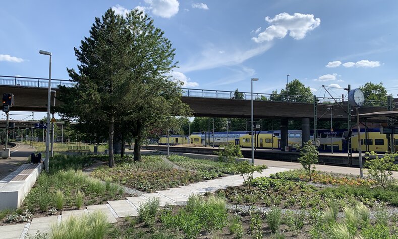 Mit tausenden Blumen und Bäumen wurde der Bahnhof Hamburg-Harburg im Rahmen der Smart-City-Initiative  umgestaltet.