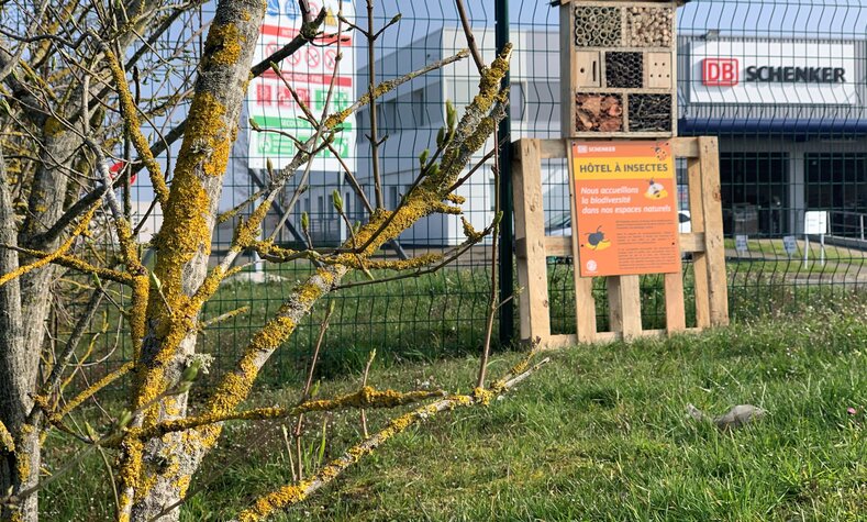 An insect hotel in front of a DB Schenker facility in France.