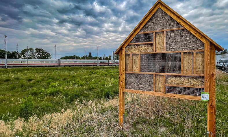 An insect hotel stands in front of a rainwater infiltration area with wildflowers.