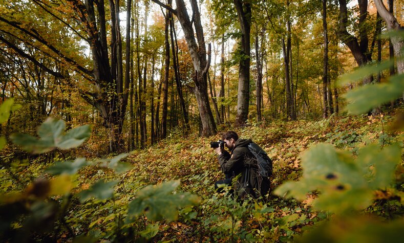 Die Fotografen der German Roamers waren im Elmer Wald mit ihrer Kamera unterwegs.