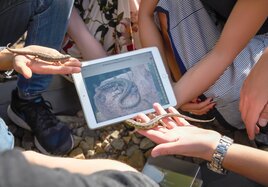 Im Workshop lernen Mitarbeitende direkt mit lebendigen Eidechsen umzugehen und erhalten passende Informationen vom Tablet.