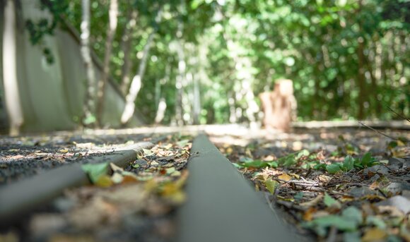 Eine nicht mehr genutzte Bahnanlage wurde naturnah zurückgebaut.