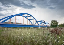 Eine Eisenbahnbrücke überspannt eine Flussmulde, in der ein Biotop entstanden ist. 