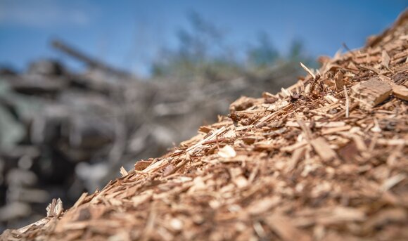 Eine Anhäufung von Holzhackschnitzeln, mit denen ein Werk geheizt wird. 