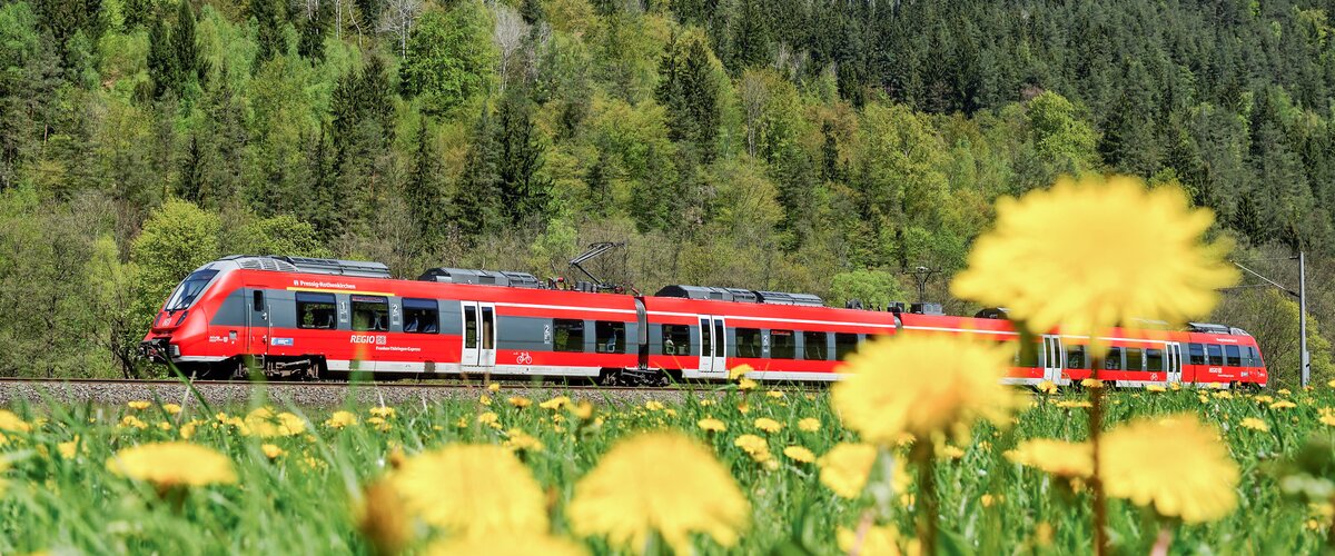 Ein Zug der Deutschen Bahn fährt an einer blühenden Blumenwiese vorbei. | © DB AG / Frank Barteld