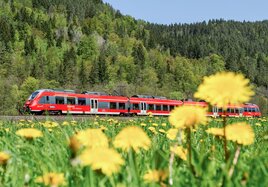 Ein Zug der Deutschen Bahn fährt an einer blühenden Blumenwiese vorbei.