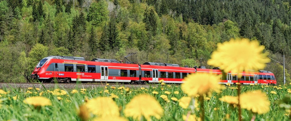 Ein Zug der Deutschen Bahn fährt an einer blühenden Blumenwiese vorbei. | © DB AG / Frank Barteld