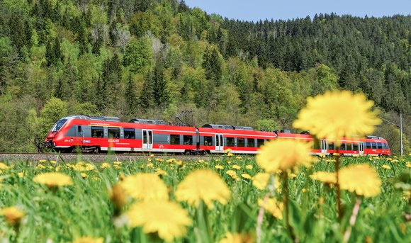 Ein Zug der Deutschen Bahn fährt an einer blühenden Blumenwiese vorbei.