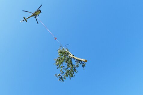 Für den Rückschnitt entlang unserer Strecken werden teilweise auch Helikopter mit einer meterlangen Säge oder einem Greifer einsetzt.  | © DB AG/ Oliver Lang