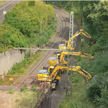 Mit dem Longfront-Bagger können wir schadhafte Bäume auch einzeln entnehmen, ohne den Unterwuchs zu schädigen. | © DB AG/ Ewald Pieper