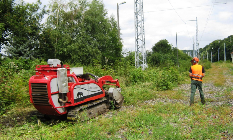 Ferngesteuerte Mulchraupe im Einsatz