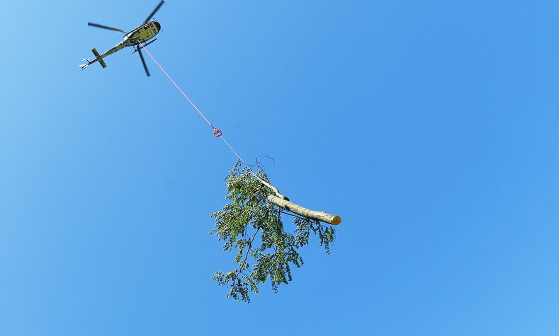 Für den Rückschnitt entlang unserer Strecken werden teilweise auch Helikopter mit einer meterlangen Säge oder einem Greifer einsetzt. 