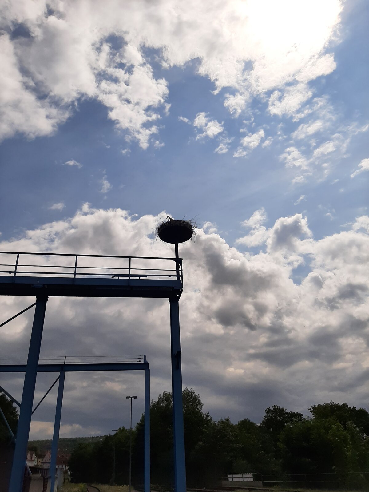 Storchennest beim DB-Werk Meiningen in Thüringen  | © Deutsche Bahn AG / Hans Peter Witter