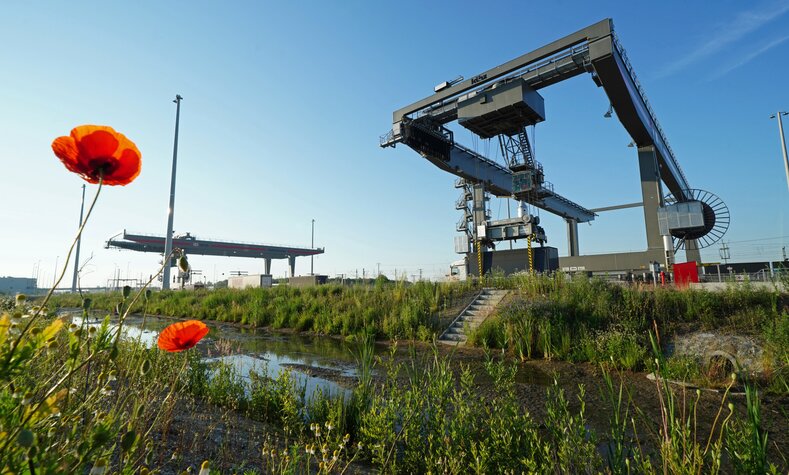 Mit dem neuen MegaHub werden Transporte von der Straße auf die klimafreundliche Schiene verlagert.