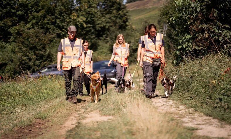 Gemeinsam mit den DB-Diensthundeführern lernen die Vierbeiner geschützte Tierarten anhand von Geruchsspuren aufzufinden. 