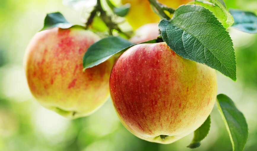 Naturschutz wird bei DB groß geschrieben