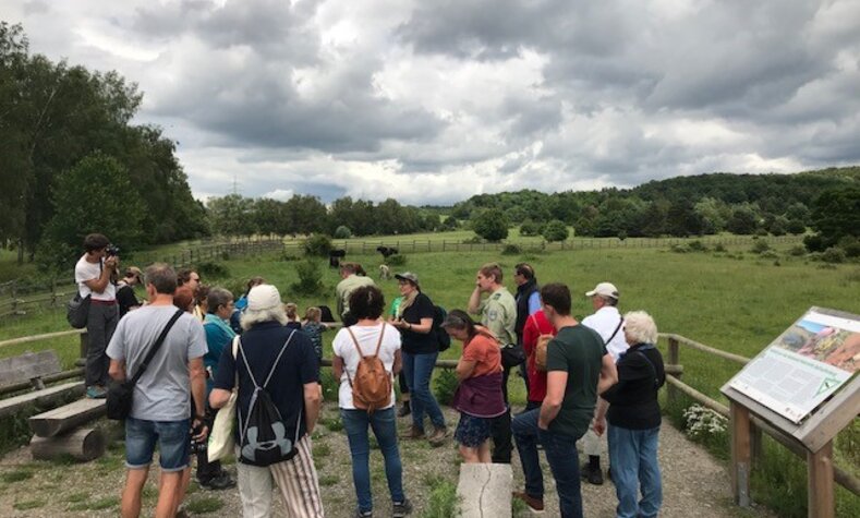 Aktionen rund um Naturschutz beim GEO-Tag der Natur in Aschaffenburg.