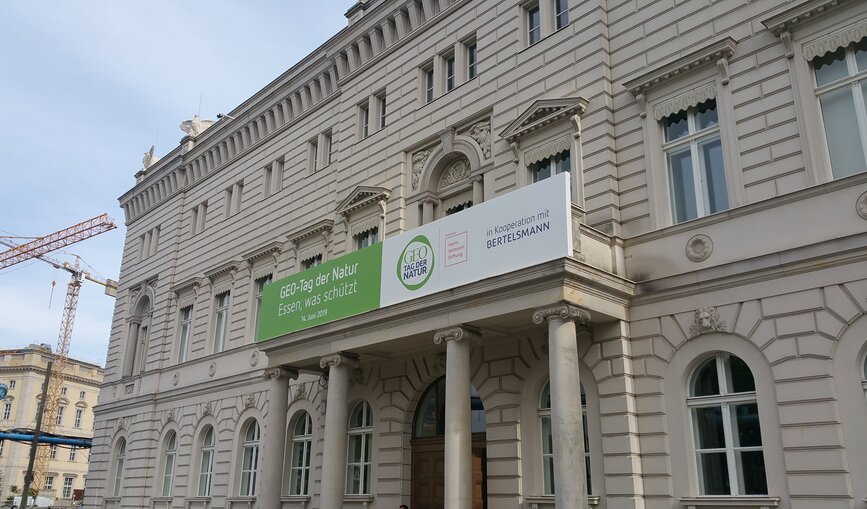 Beim GEO-Tag gab es Aktionen rund um Naturschutz und Artenvielfalt