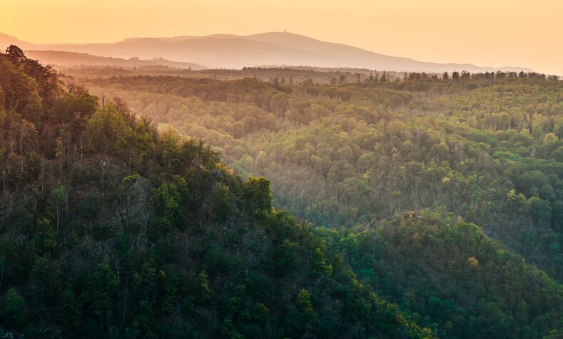 Der Nationalpark Harz