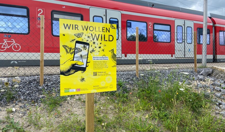 Die Beschilderung der Flächen informiert über die Lebensräume von Insekten, Kleinlebewesen und Vögeln.