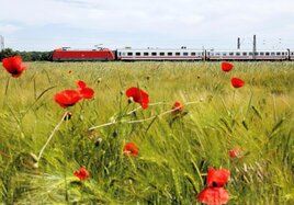 Um die Tier- und Pflanzenwelt bei Eingriffen in die Umwelt zu schützen, untersuchen Gutachter vor Baubeginn die Flächen neben unseren DB-Strecken.