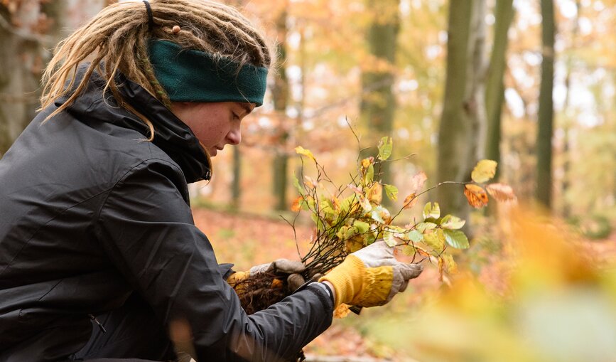 Im April pflanzt der Verein Bergwaldprojekt in Kooperation mit der DB 5.000 neue Bäume auf dem Wurmberg im Harz. 