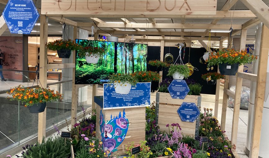 Ein Mini-Gewächshaus mit einer großen Blumenvielfalt steht in einem Einkaufsbahnhof.