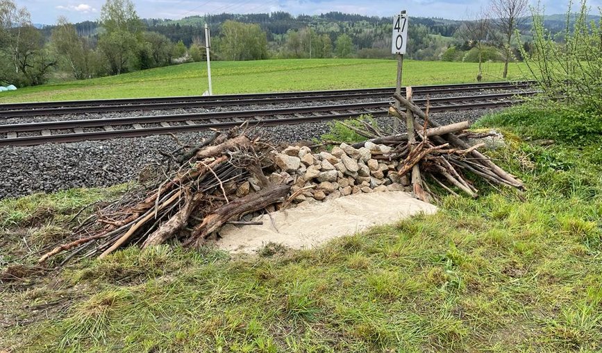 Ein Ersatzhabitat für Eidechsen an der Bahnstrecke zwischen Marktredwitz und Wiesau in Bayern