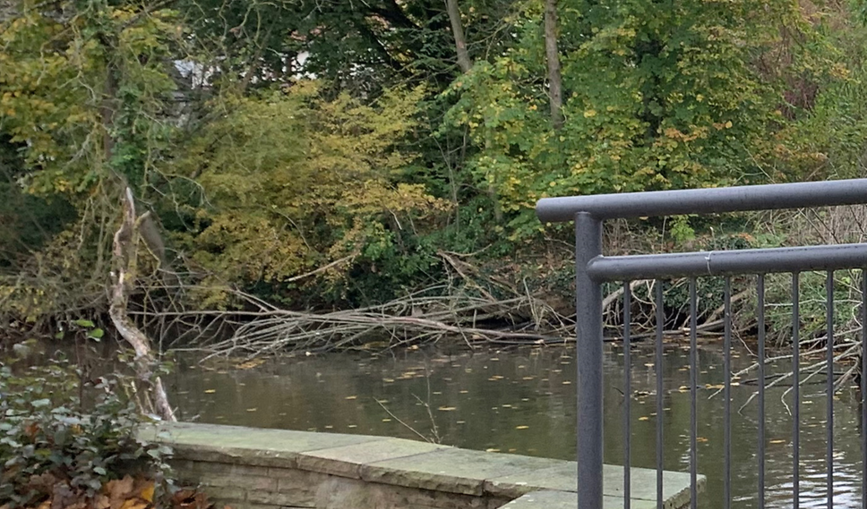 Wehr mit Hochwasserschutzwand
