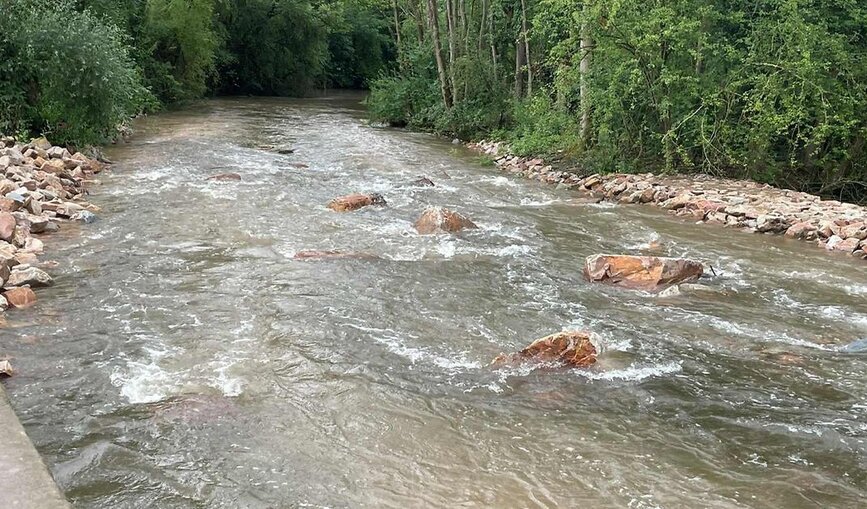 Strömung im Fluss Nidda