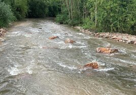Strömung im Fluss Nidda