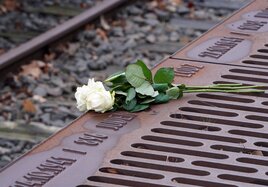Eine weiße Rose liegt am Mahnmal Gleis 17.