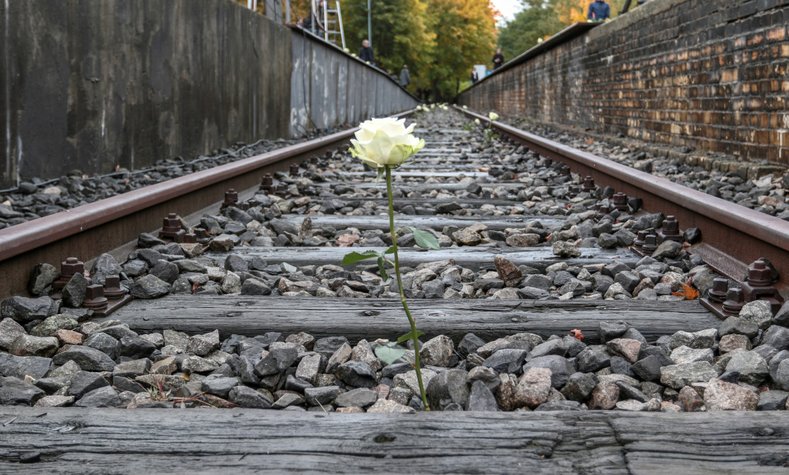 Eine einsame weiße Rose blüht auf dem Gleisbett an dem Mahnmal "Station 17".