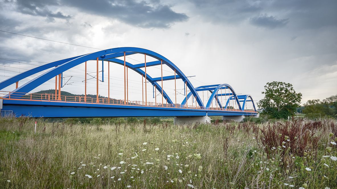 Eine Eisenbahnbrücke überspannt eine Flussmulde, in der ein Biotop entstanden ist. 