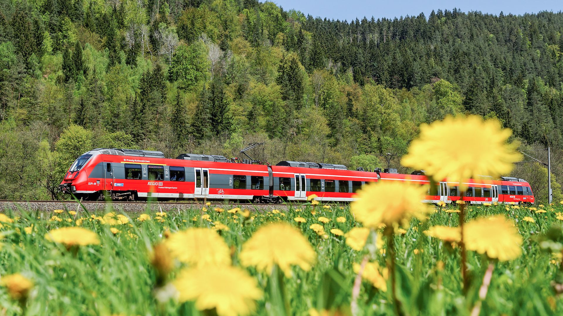 Ein Zug der Deutschen Bahn fährt an einer blühenden Blumenwiese vorbei.