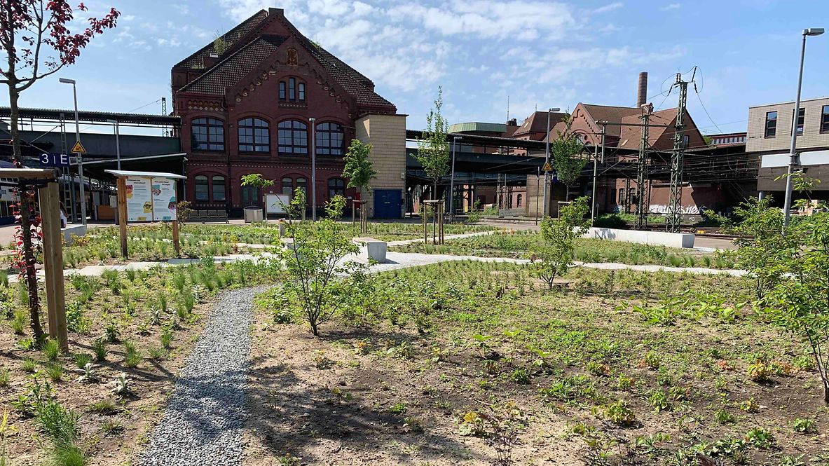 Der neu begrünte Vorplatz am Bahnhof Hamburg-Harburg