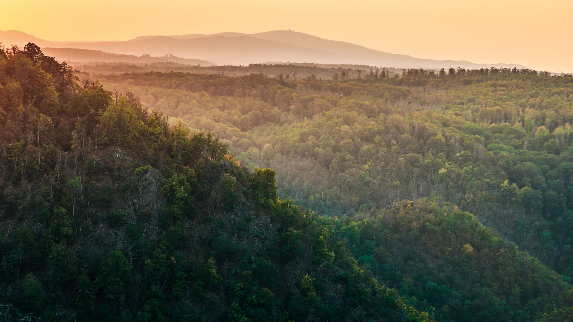 Der Nationalpark Harz