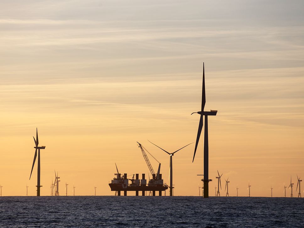 Der Windpark Amrumbank-West in der Nordsee im Sonnenuntergang