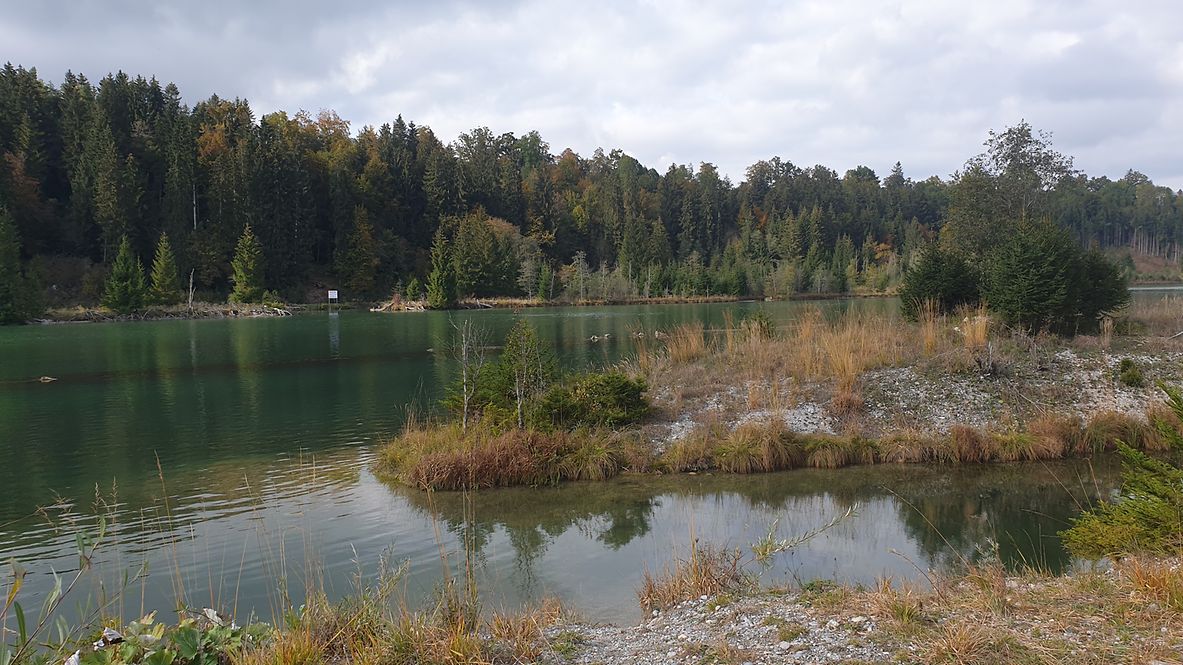 Eine Kiesinsel im Lech wird umgestaltet. 