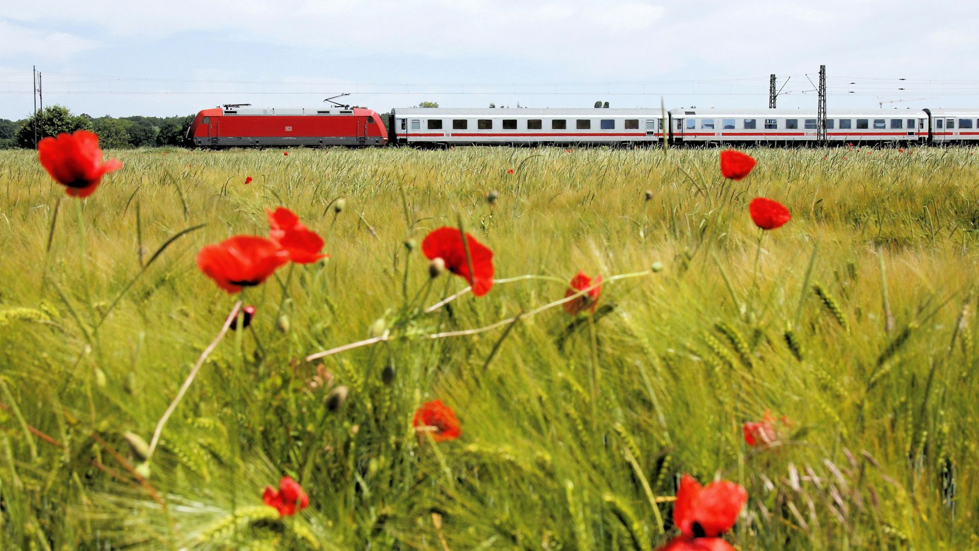 Eine Wiese nahe einer Zugstrecke