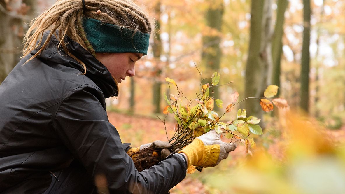 Eine Frau im Wald mit ein paar Ästen in der Hand