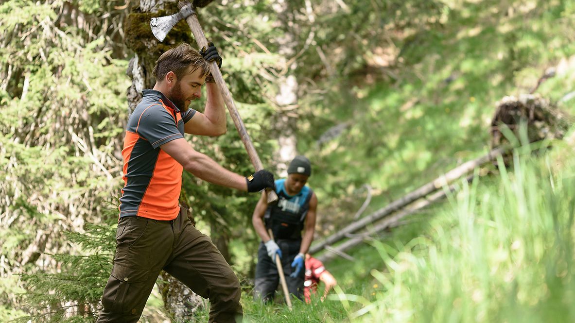 Männer bei der Verrichtung von Waldarbeiten