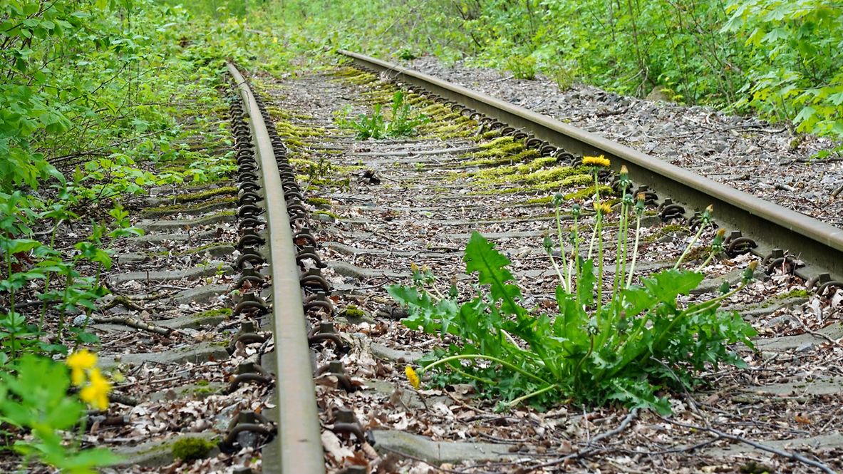 Nahaufnahme von stillgelegten Gleisen 