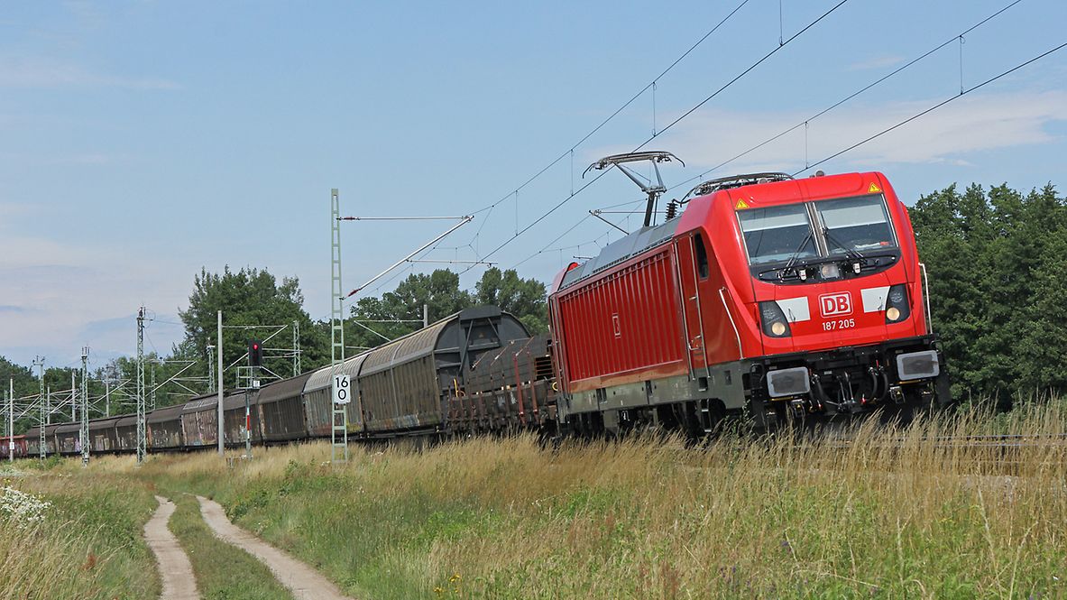Ein Güterzug der DB Cargo fährt durch eine grüne Landschaft.