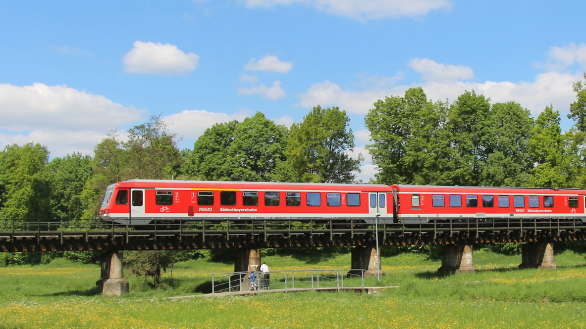 Ein Zug der Südostbayernbahn fährt durch eine grüne Landschaft.
