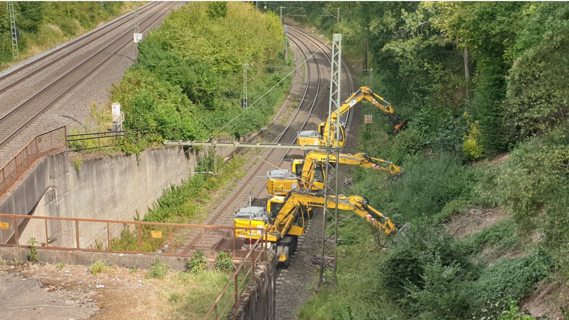Mit einem Longfront-Bagger werden Bäume an den Gleisen entnommen.